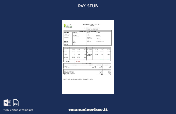 modello di busta paga Happiest Minds Technologies in stile verificato
